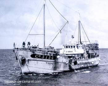 Barbade