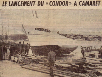 Condor